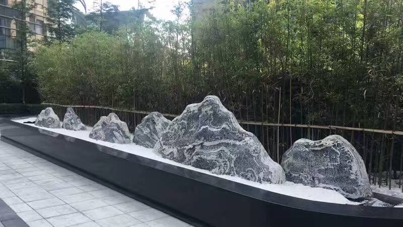 家里院子适合放什么盆栽,家里院子放什么好看