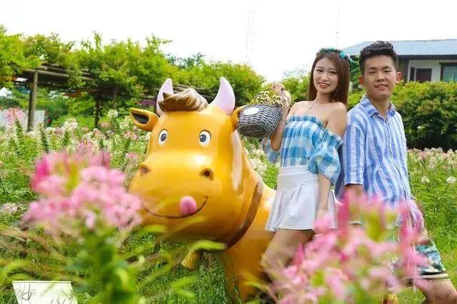 水上乐园超级大喇叭体验,挑战十大世界上最大的水上乐园