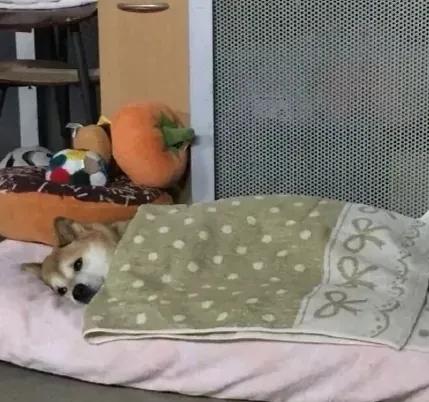 双十一宝宝出生如何发朋友圈,双十一买书的文案朋友圈怎么发