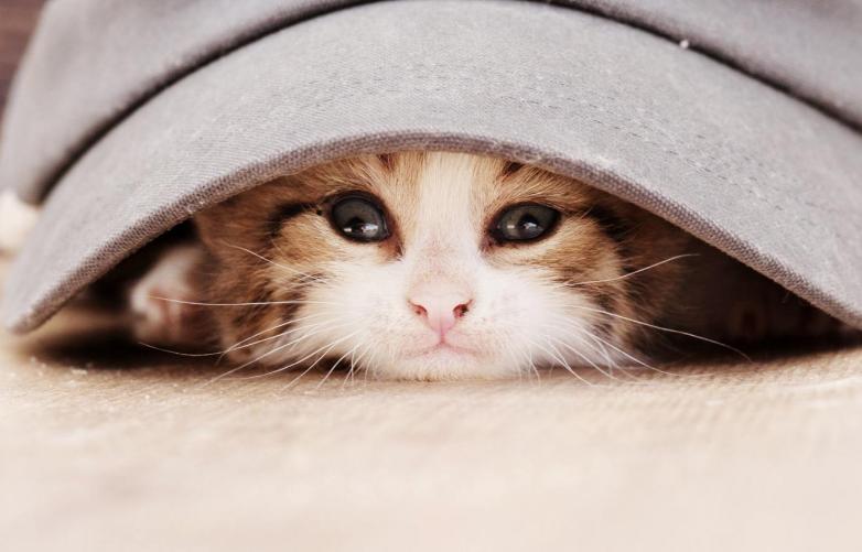 淘宝千万不要买系列,劝大家不要在淘宝买大件东西