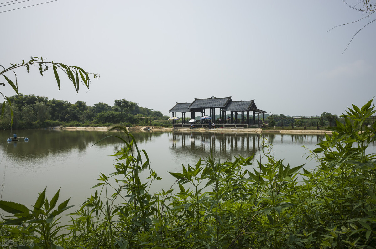 藏龙岛托管机构,藏龙岛划入东湖高新可能性