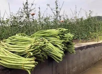 卖螺蛳粉线上挣钱吗,最成功的营销螺蛳粉