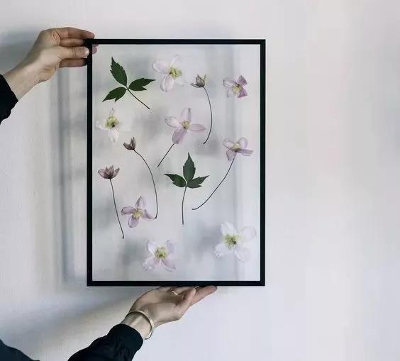 她用这种高颜值的干花装饰家里,隔壁邻居都惊叹不已