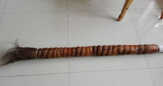 绿萝怎么样做才能好看呢,绿萝如何造型比较好看