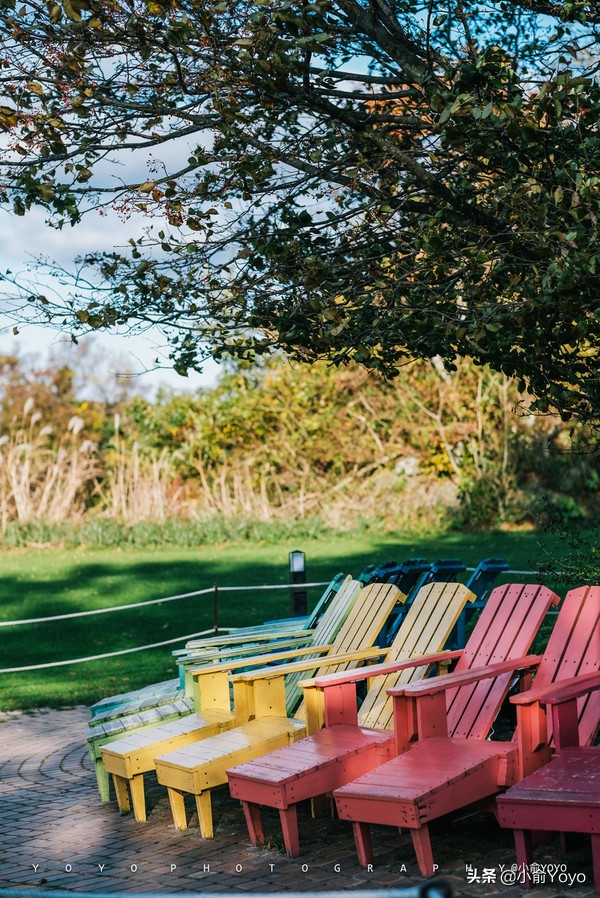 济州岛最值得去的地方,来济州岛第一天去哪玩