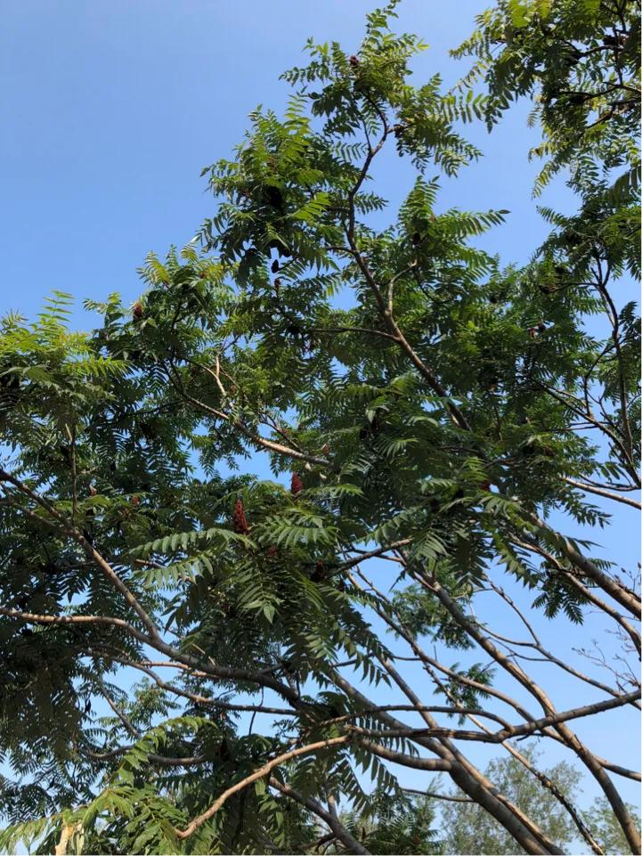 每日运势播报星座,每日运势播报靠谱吗