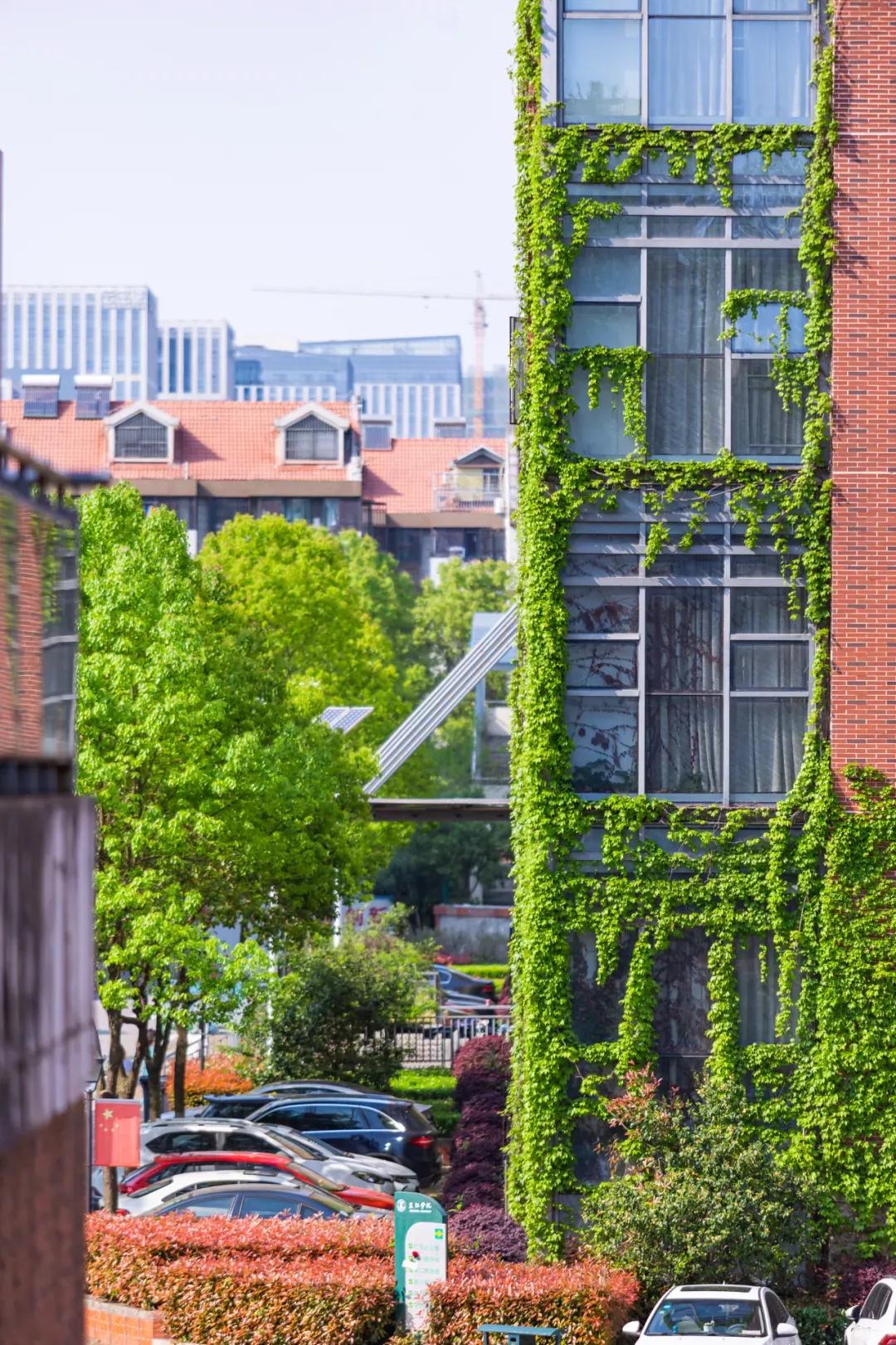 江苏省高校(五十五)三江学院