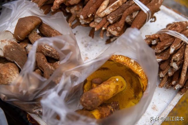 瓜瓜豆豆的视频,瓜瓜豆豆视频