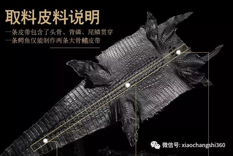 正品鳄鱼100%真牛皮皮带,进口鳄鱼真皮皮带特价