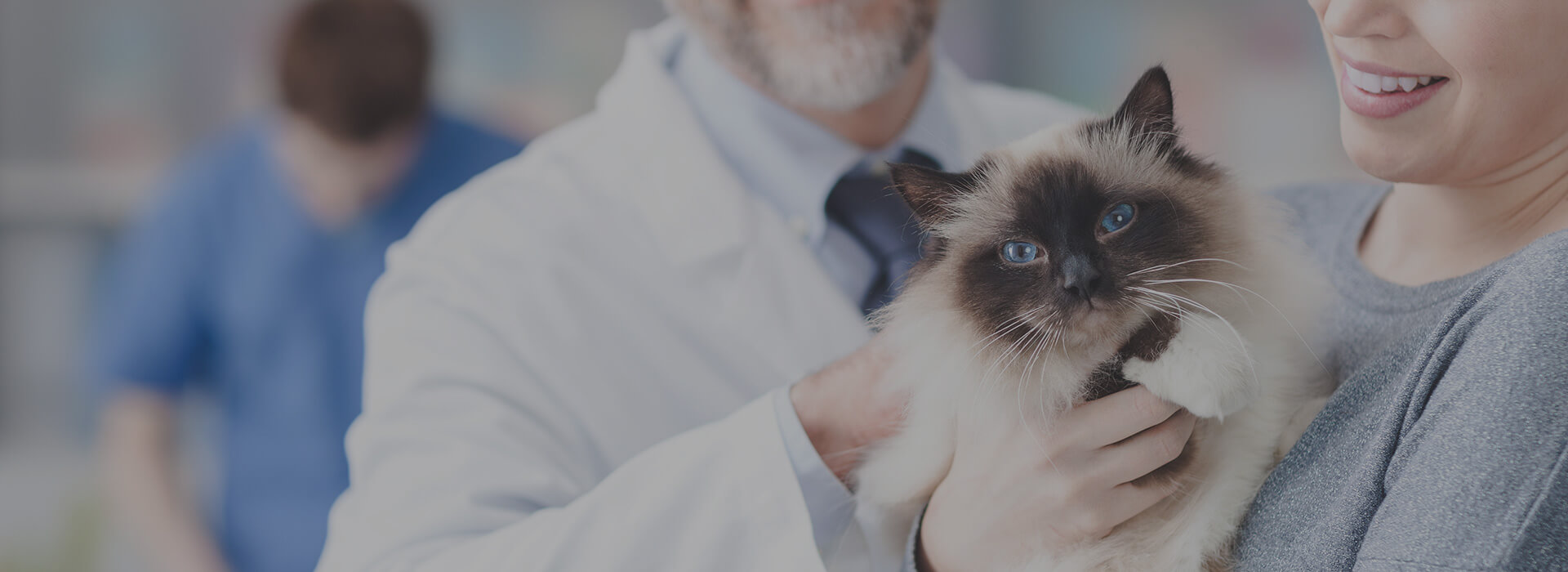 紧急扩散的重要通知,紧急预警扩散务必提高警惕