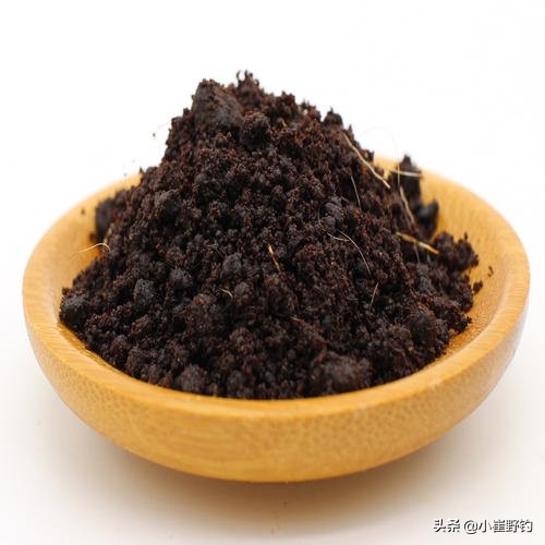 钓鱼用真正的麝香,麝香如何用来钓鱼