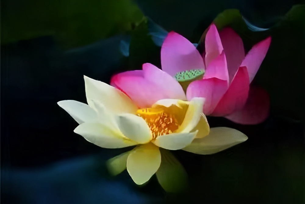 如果失去了爱人怎么办,如果失去爱人余生怎么过