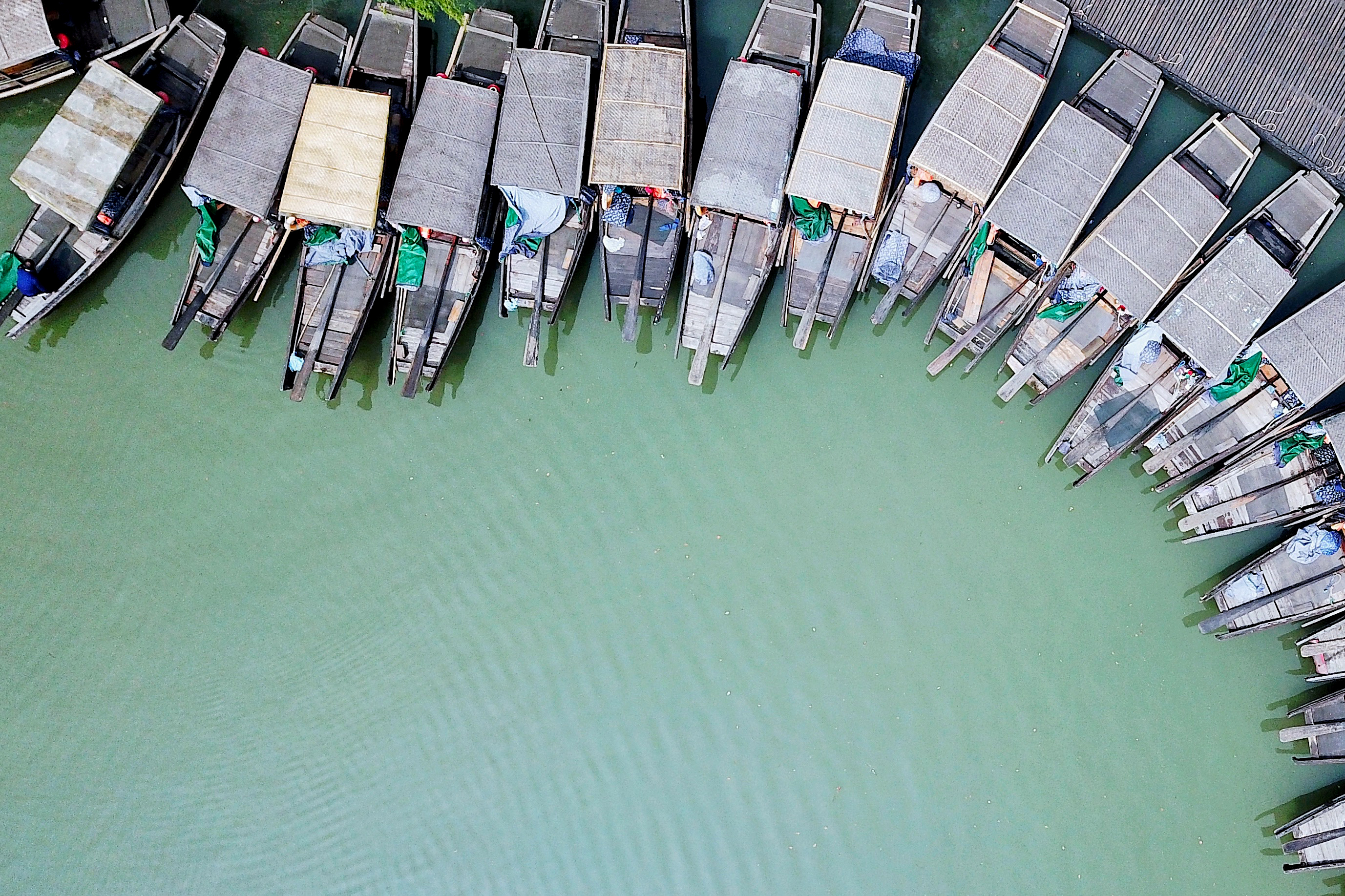 常熟沙家浜一日游结束,常熟水上花田沙家浜
