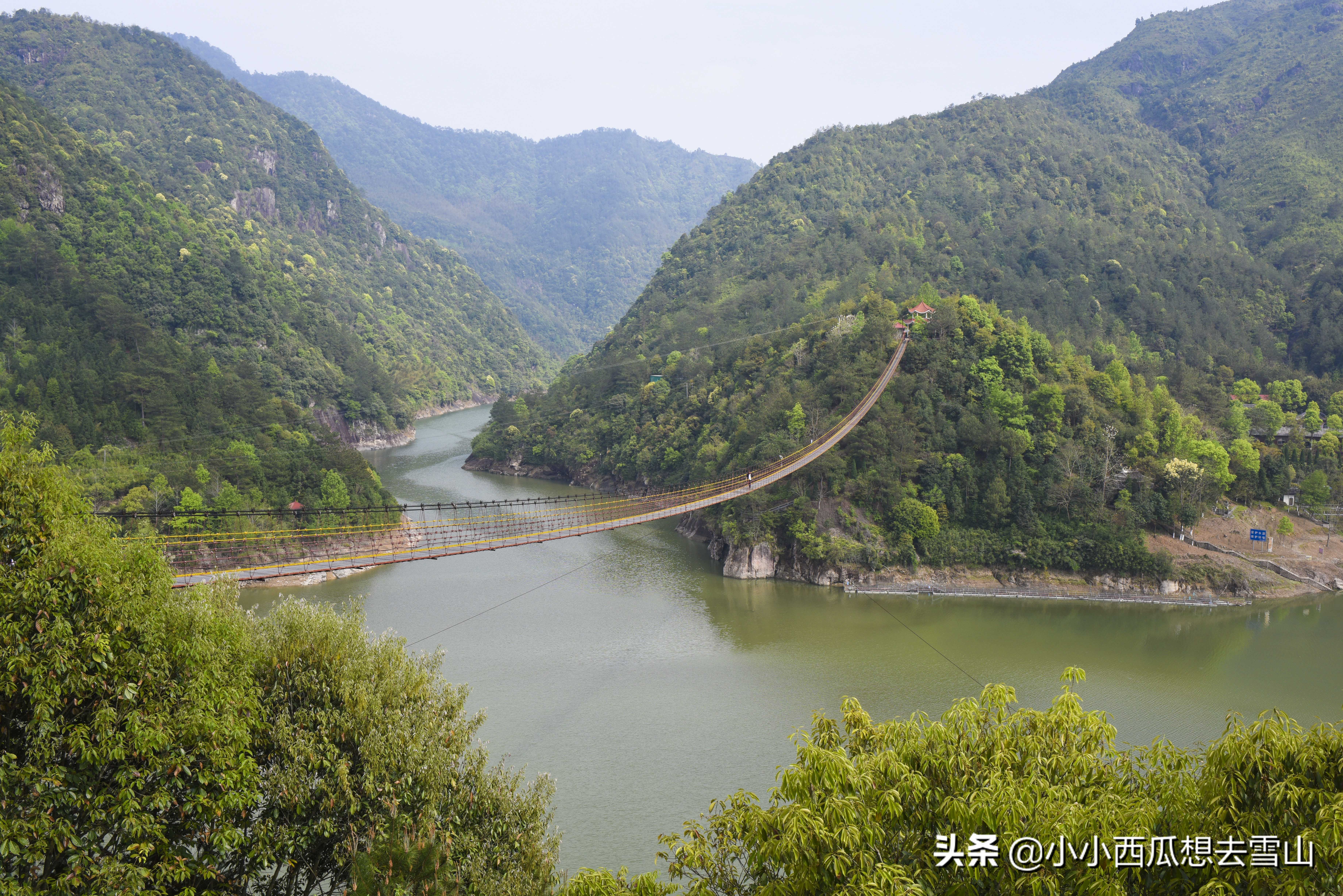 浙南小众宝藏旅行地,浙江温州灵溪铁索桥景点