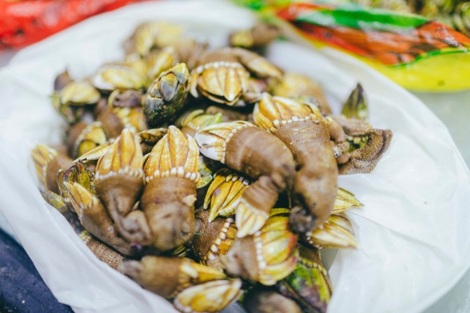 离岛微城慢生活,离岛微城慢生活嵊泗列岛