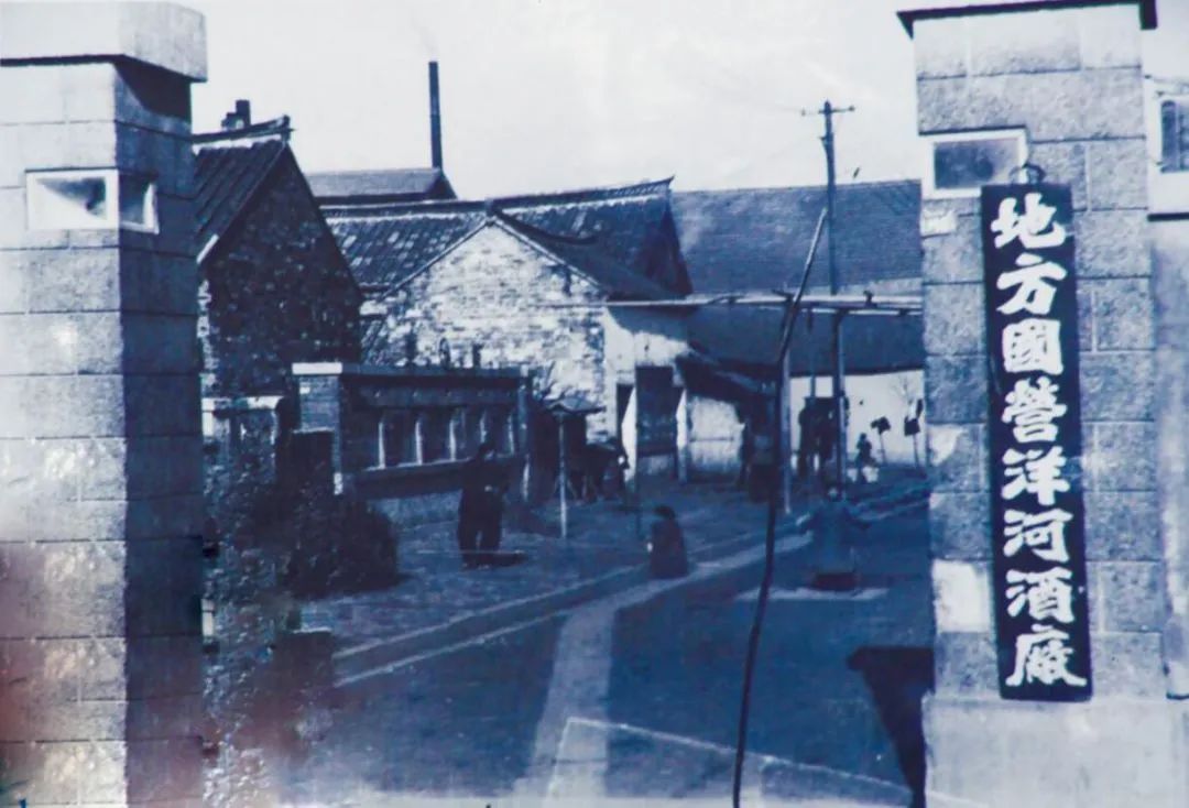 洋河大曲值得收藏的是哪款酒,洋河大曲最值得收藏的酒