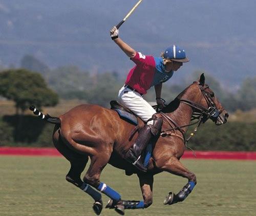打马球有什么要求吗,打马球要先会马术吗
