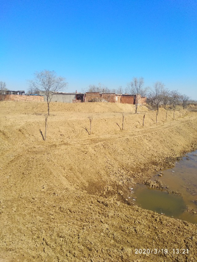 河北邢台环境,邢台环境好吗