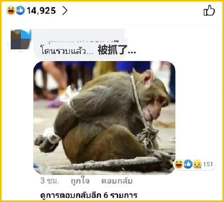 帅哥裸露卖榴莲、猩猩骑车消毒，疫情下的泰国又搞笑又心酸