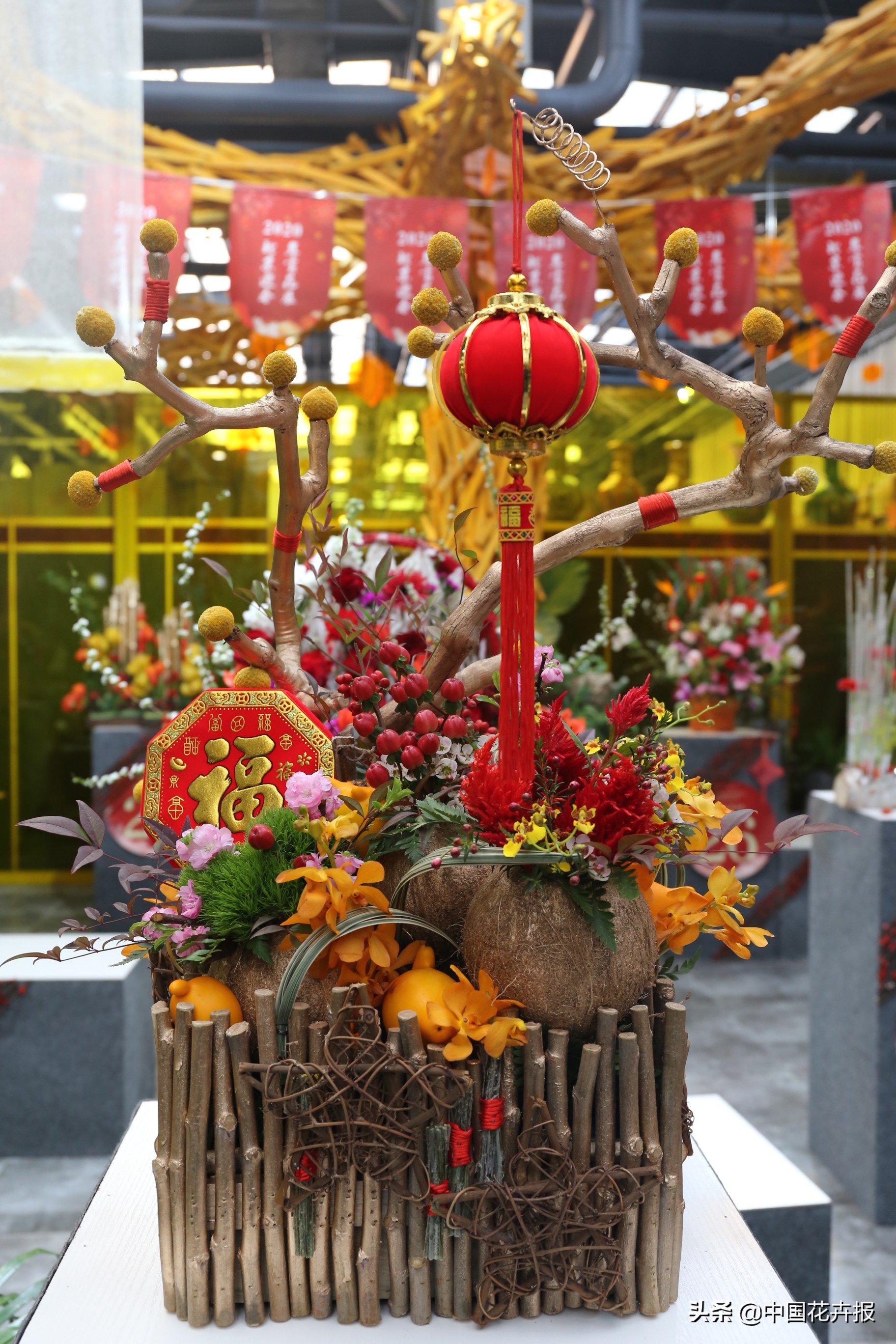 北京迎春花展,北京春季花展时间表