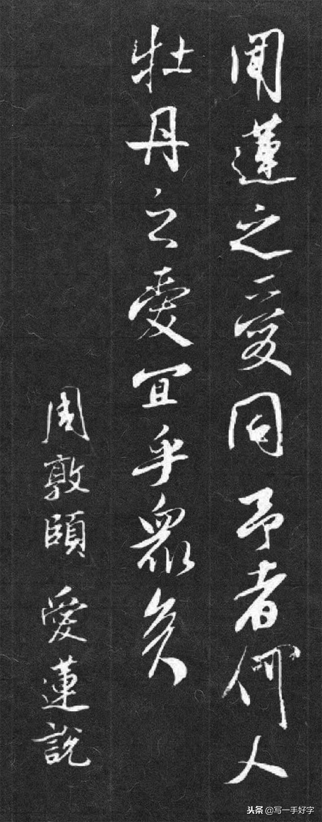 书法作品爱莲说创作说明,书法作品爱莲说展示模板