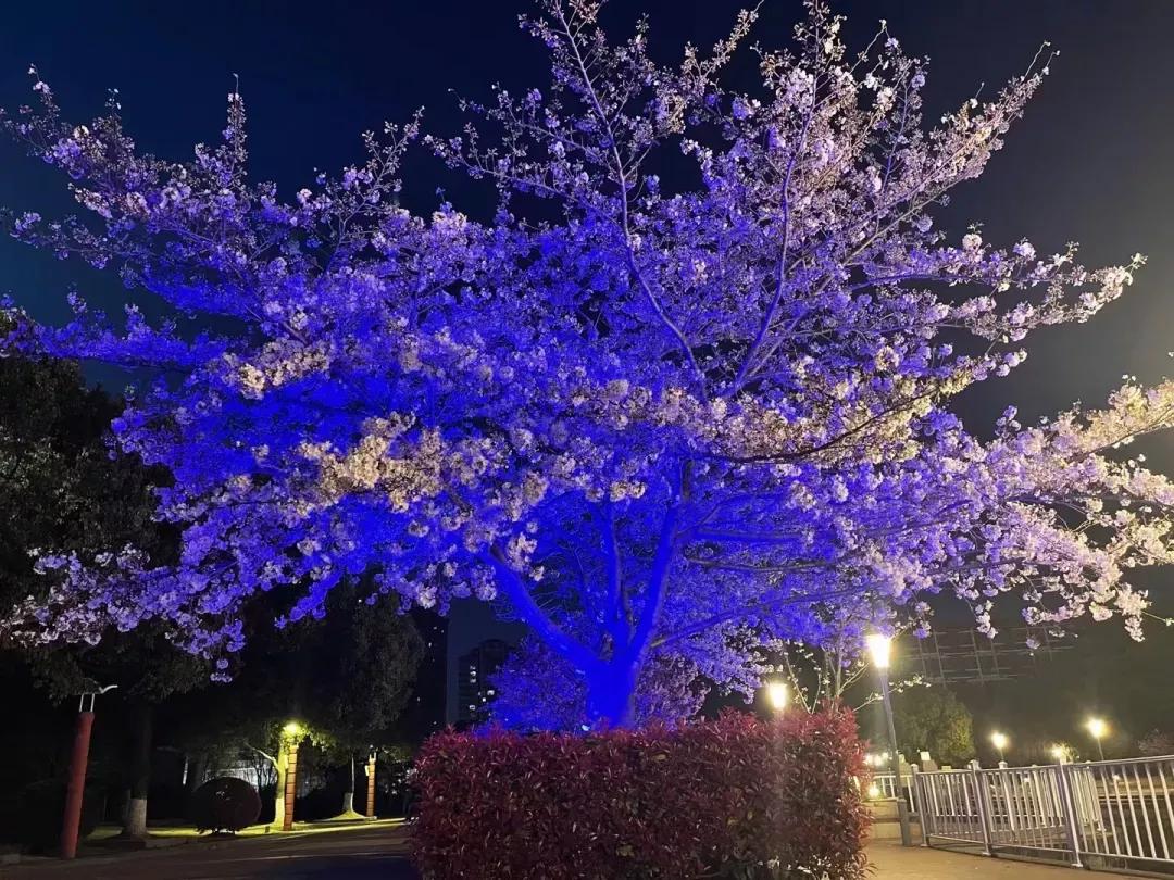 江苏省五星级高中（四）江苏省锡山高级中学