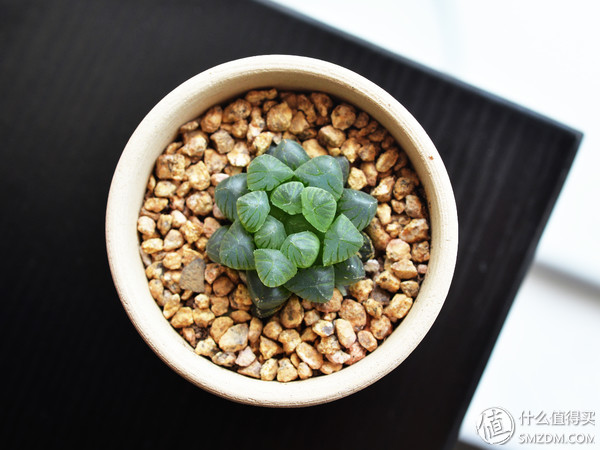 专业摄影师必备的定焦镜头,只选一只人像定焦镜头推荐