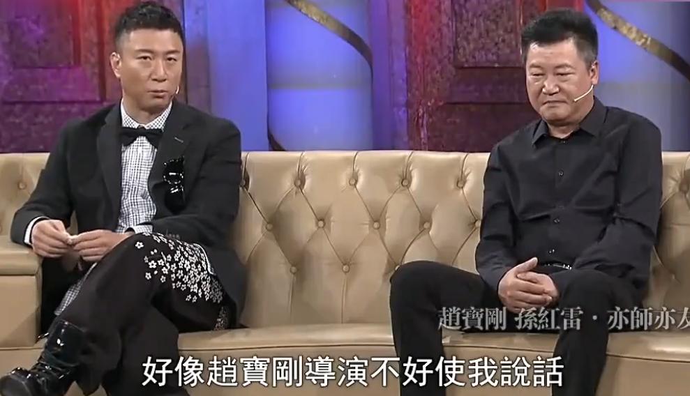 丁嘉丽和赵宝刚有合作吗,孙红雷赵宝刚出名