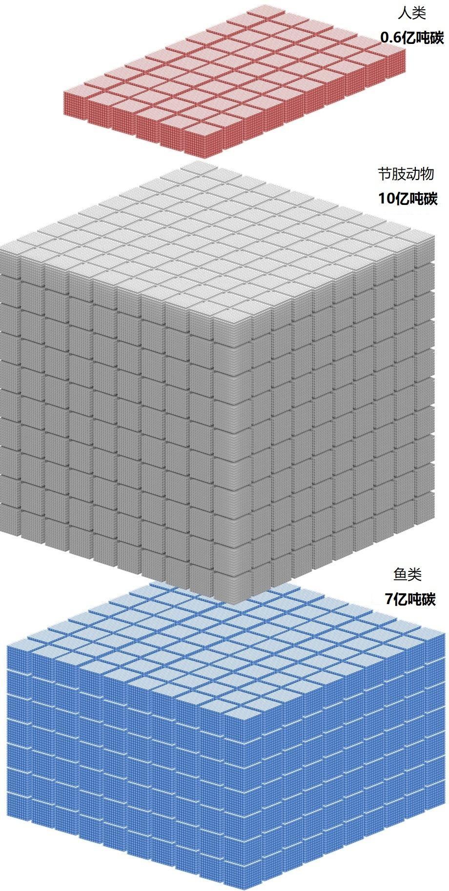 整个地球上有几亿人,宇宙银河系黑洞太阳地球月球