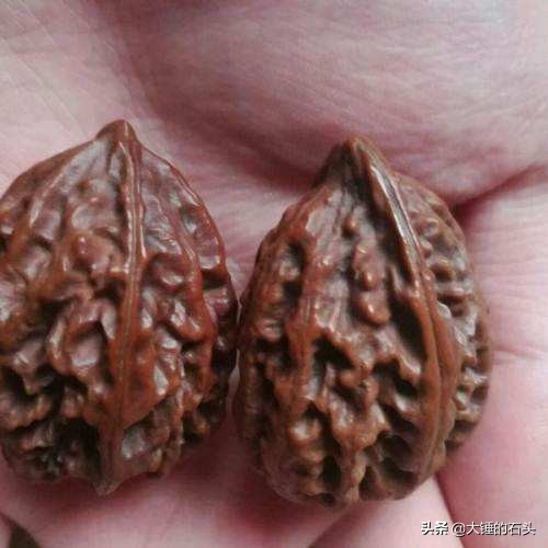 自从入了文玩的坑,刚入文玩坑