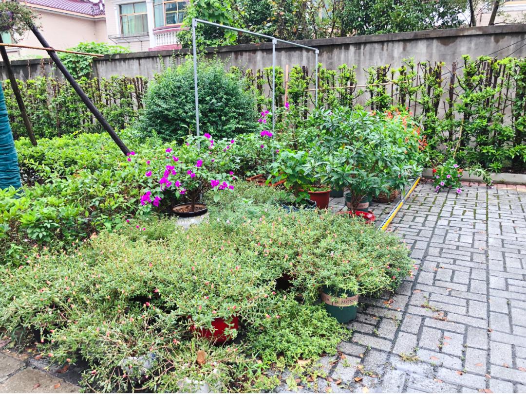 无锡江阴美丽田园,庭院深深美如画