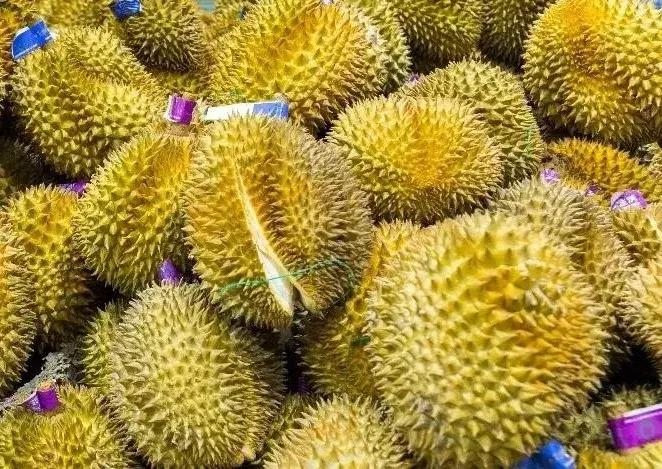 在上海怎么月入过万,在上海月入5000怎么活