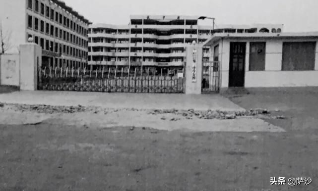 张志超案件真正杀人凶手,张志超杀人案的真凶是谁