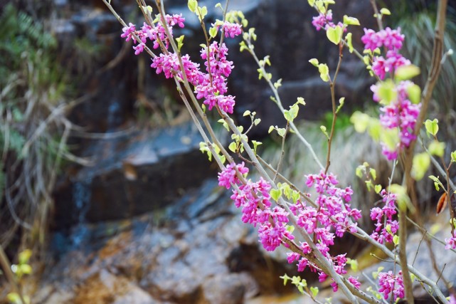 缙云仙都仙气飘飘的旅行胜地,缙云丽水好玩的地方