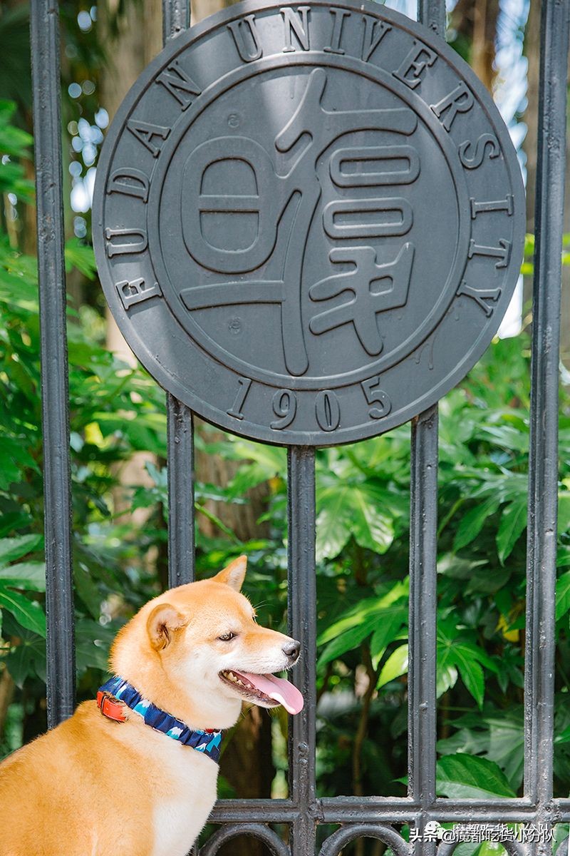 高考择校tips,高考择校指导985211