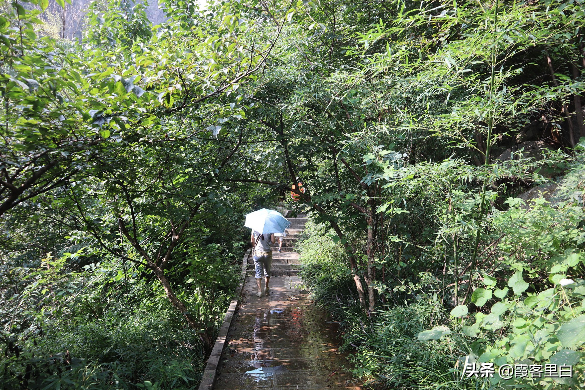 南召宝天曼旅游视频,南召宝天曼游览图