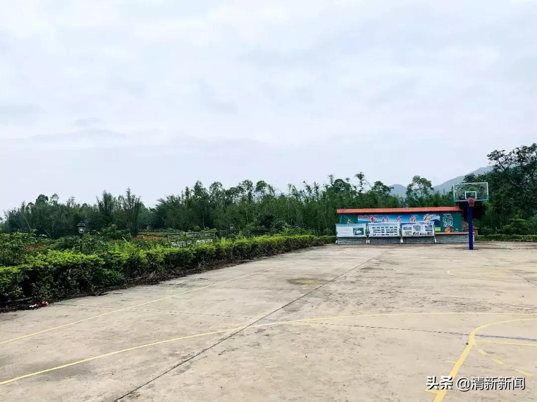 三坑75岁“拳痴”重出江湖？厉害！