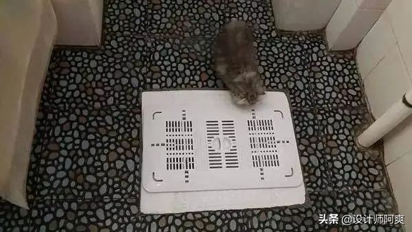 马桶和蹲厕哪个好,蹲厕好还是坐便器好