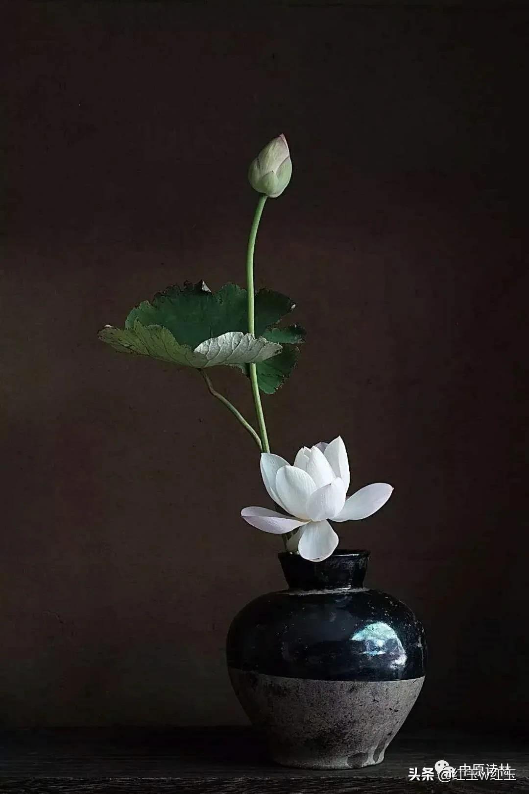 涓師璇楁灄璇楀弸浣滃搧娆h祻,涓師璇楁灄浣滀笟鐐硅瘎