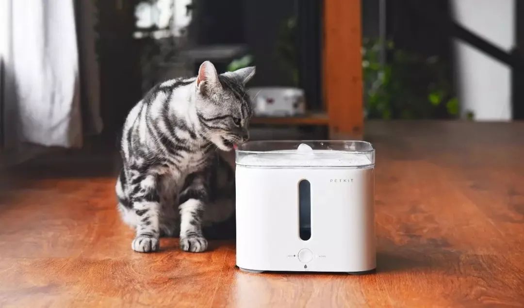 锅圈、文和友、零食有鸣等20品牌融资;华尔街英语破产|创投周报