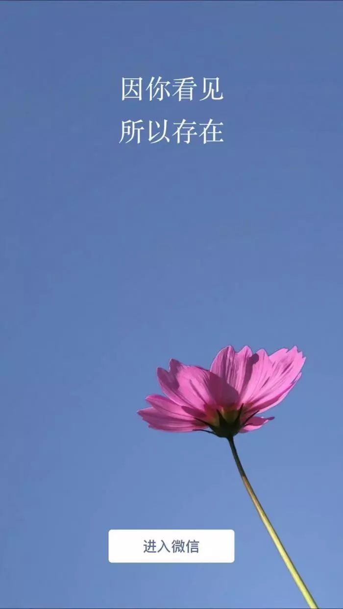 微信新功能霸气来袭,最强升级系统和最强反套路系统