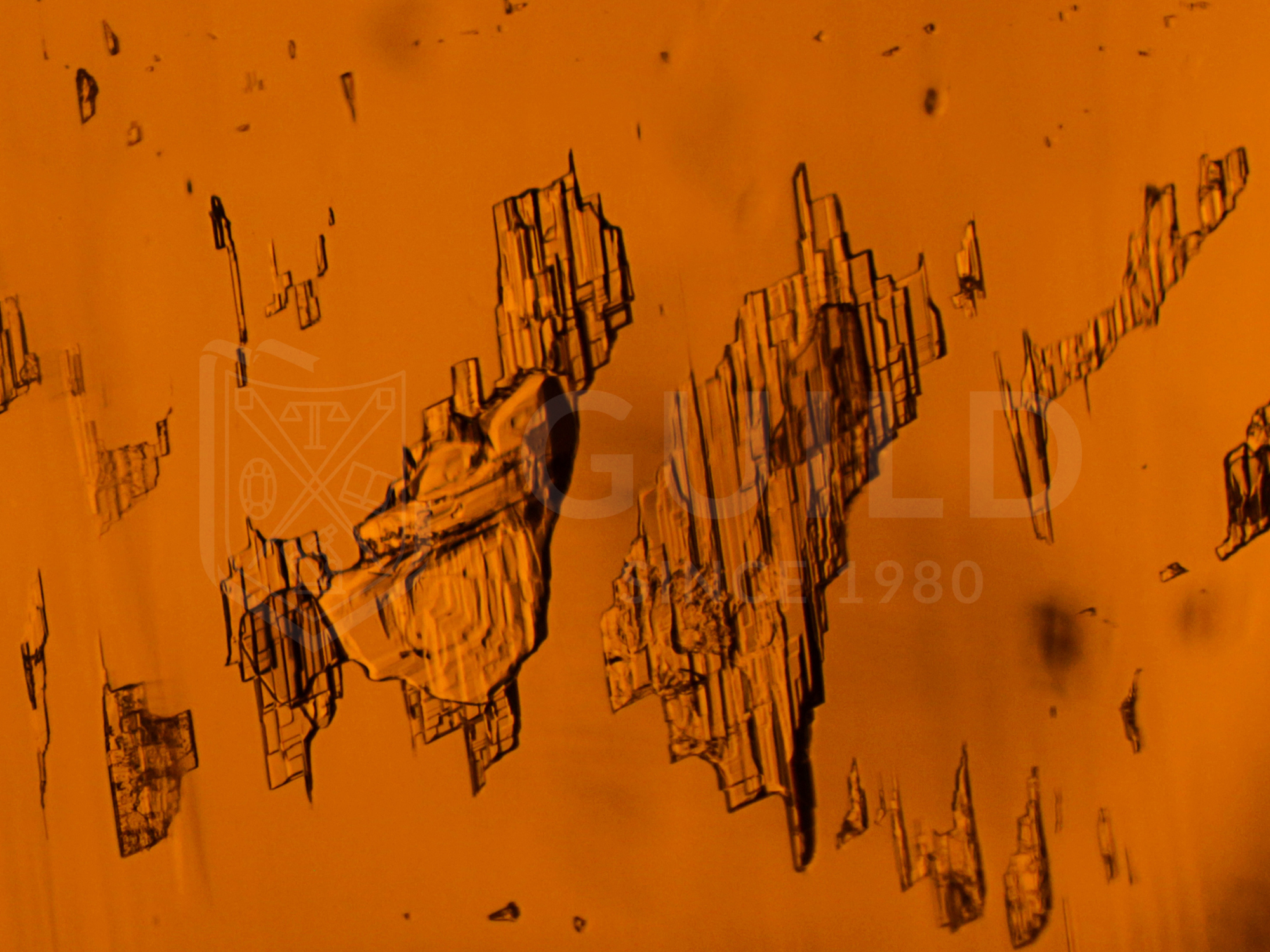 芬达乐趣,芬达清亮音色