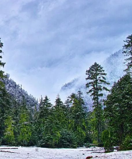 最美拉林公路自驾,高速路上一不小心误入仙境