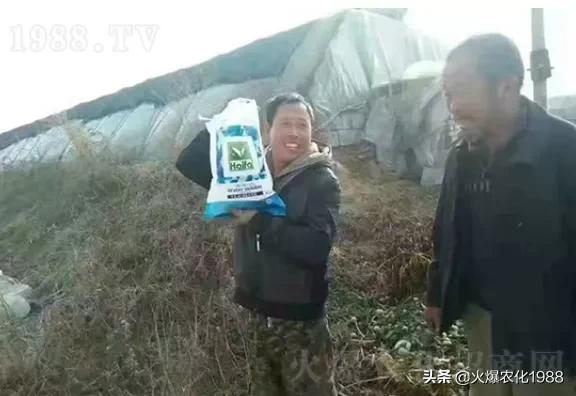 水溶肥料报价及图片大全,水溶肥市场现状