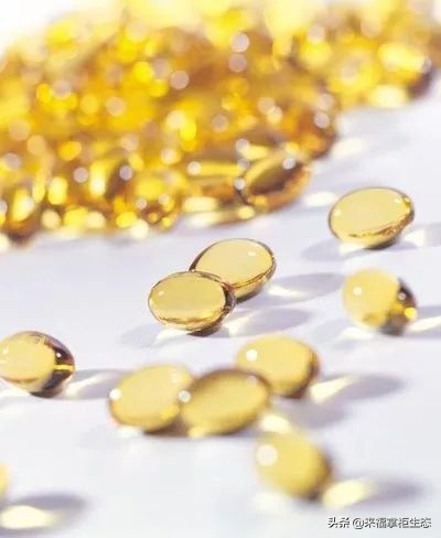 挪威小鱼深海鳕鱼油dha,挪威鱼肝油dha价格