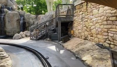 疫情期间去埃及旅游的亲历,疫情期间从深圳直飞洛杉矶体验