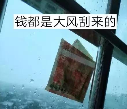 跟爸妈旅行真实感受,和爸妈旅游现象