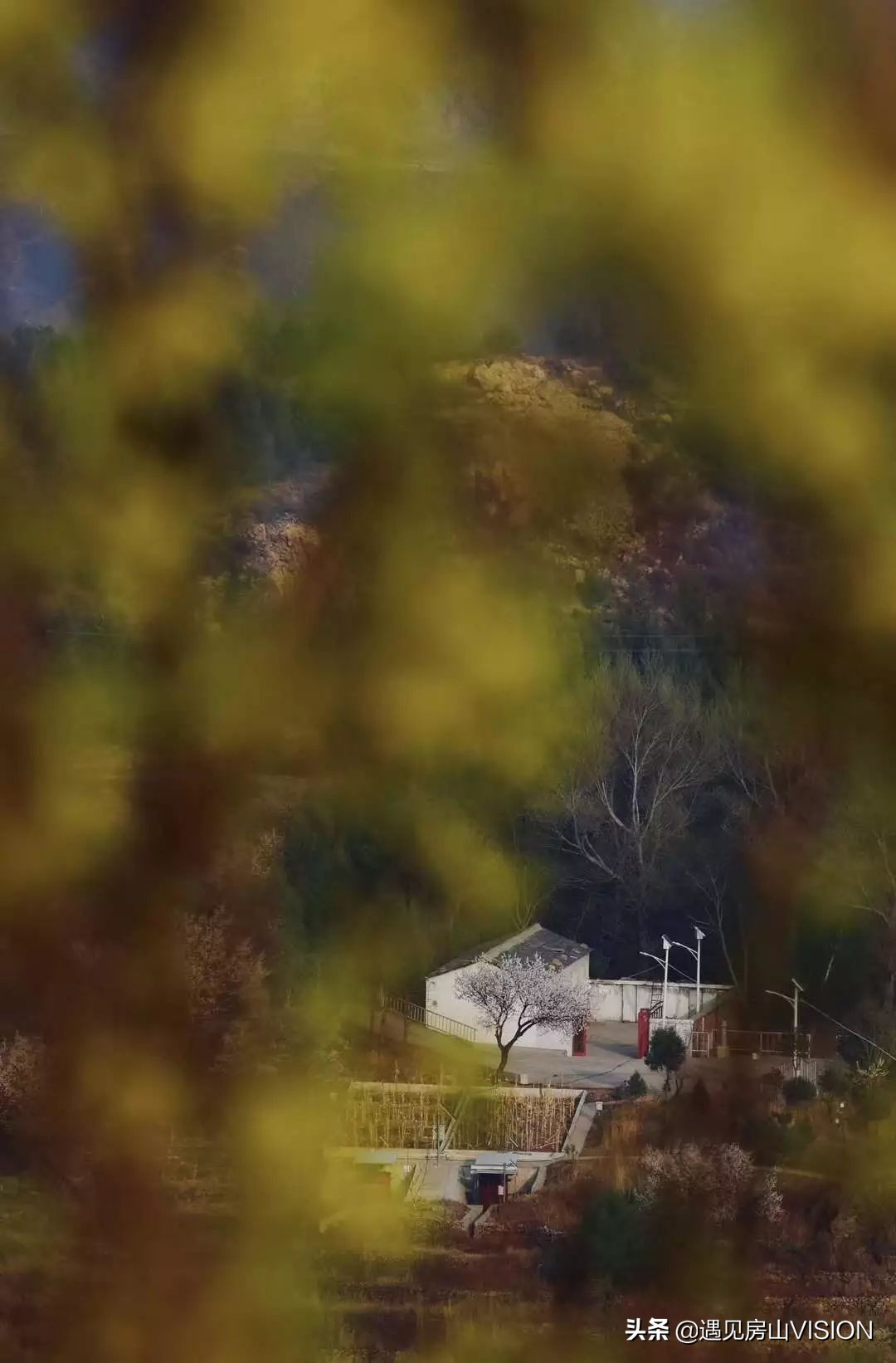 人间四月芳菲天,最美春天在房山——蒲洼行记