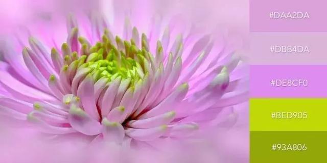 999张图片视频的卡点模板,服装设计素材收集与整理