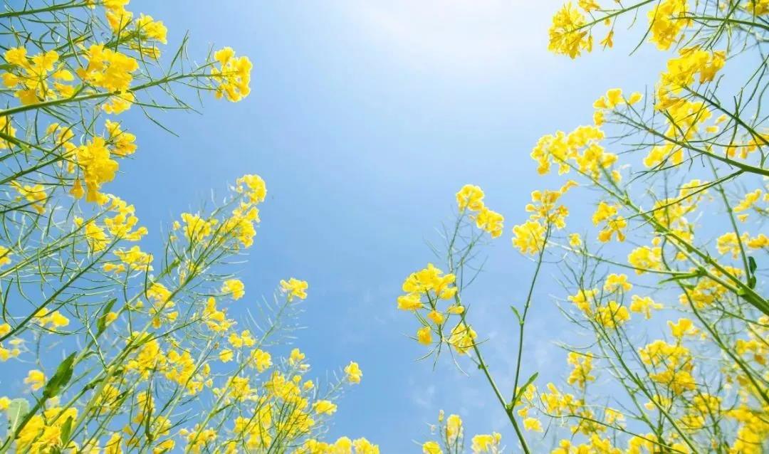 曾经江苏最繁华的城市常州,江苏被低估的一座城市